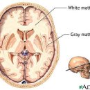 소아자폐증의 기본현상 (The Basic Phenomenon of Infantile Autism) (1) 이미지