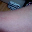 덕골 | 대전 작은도심서 작은덕골님이 첫눈을 애가타게 지달린다 ``싹쓸이`` | 2009.11.11 19:50 작은덕골님