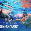 투어티티엘 - 중구 남대문로7길 11-5 | 투어티티엘