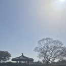 즐거운섬 이미지