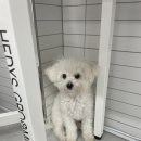 니멍내멍 이미지