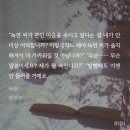 녹연 이미지