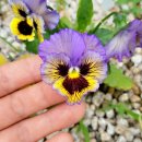 제로나인스테이 이미지