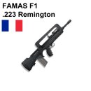 FAMAS (F1, G1, G2, Valorisé, FÉLIN)