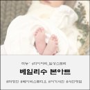 딱봄이 본아트 촬영 후기
