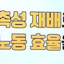 설향딸기 촉성재배