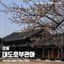 강릉해람중학교 | 문화유산, 강릉 시내 가볼 만한 곳, 강릉대도호부관아, 임영관 + 조금 이른 매화 감상