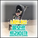 앨빈카페 | [트라이크추천]내돈내산 올보르 앨빈 트라이크 후기