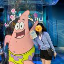 젤리피쉬 | 씨라이프 코엑스 아쿠아리움 스폰지밥 스탬프북 주말 토요일 후기 ‘젤리피쉬 어드벤처’