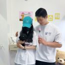 멍냥멍냥 | 동두천강아지분양 멍냥스타 방문 후기
