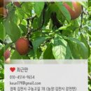 샤인몰 이미지