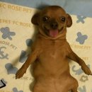 주식회사 예진디자인 | 괴담에 떨어져도 학교는 가야 하는구나