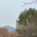 샐러브리 이미지