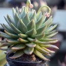 이동운농장 이미지