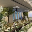 베뉴비안 이미지