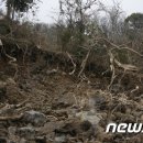 동광리-19 이미지