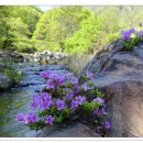 계곡이 있는 풍경 이미지