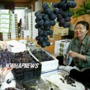 김재훈농장 이미지