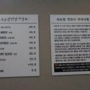 끌리제 속눈썹 이미지