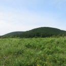 성읍리-22 이미지