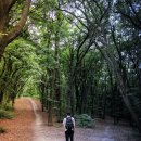 기쁨세탁소 이미지