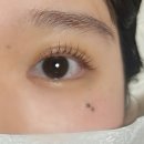 반송동251 | 오늘, 왁싱 동탄점 시그니처 뷰러펌 동탄속눈썹펌맛집