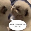 슬로우벗베럴 네이버블로그