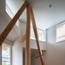 우드 너 이미지