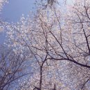 상도근린공원(상도동 531-15)