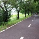 갑천우안도로 이미지