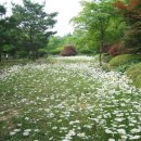 남양농원 - 성남시 중원구 성남대로 1149 | 남양농원