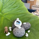 폴포이스안경 이미지