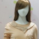 P0060 이미지