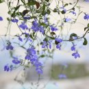 겨울에 만난 책 친구 이미지