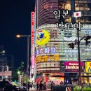 다이소 건너편 횡단보도 | 나고야 쇼핑리스트 돈키호테 사카에 다이소 오아시스21 쇼핑 아이템