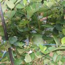 형제슈퍼 이미지