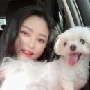 최광호동물병원 이미지