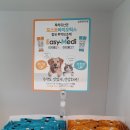 나성 펫 동물병원 이미지