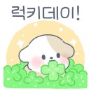 케이에행복한미용실