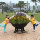 조례호수공원 이미지