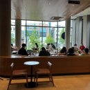 스타벅스 대전갈마DT점 이미지