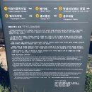 연세덕은요양원 | 원주가볼만한곳 박경리문학공원 조인나우 스탬프투어와 문학의 가을