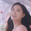 워시테리아 이미지