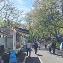 마산택시(주) | 천주산 진달래 산행후기 / 뚜벅이가 가기 좋은 산 (26.04.12)