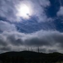 신호목장 이미지