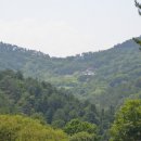 자작나무길펜션 이미지