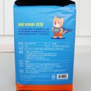 주식회사 새진 | 강아지 배변패드추천 쉬즈곤 3초패드 강아지 배변교육 할 맛 나