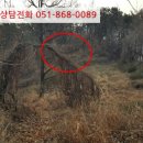 성북동-920 이미지