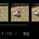 멍펜션13 네이버블로그