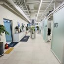 에이치골프 이미지